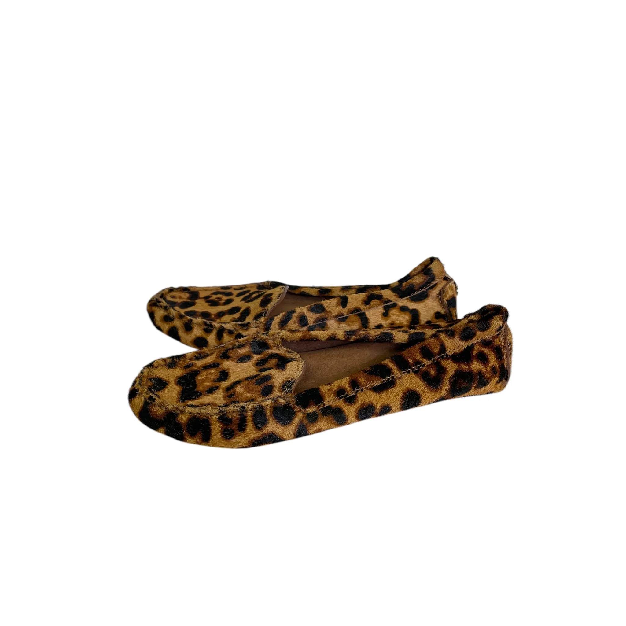 Shoes Flats By Antonio Melani In Animal Print, Size:6.5